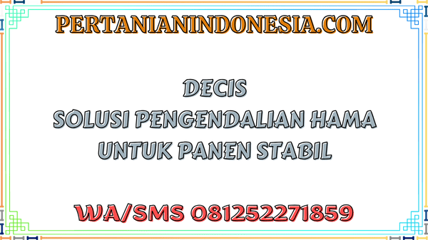 Decis Solusi Pengendalian Hama Untuk Panen Stabil